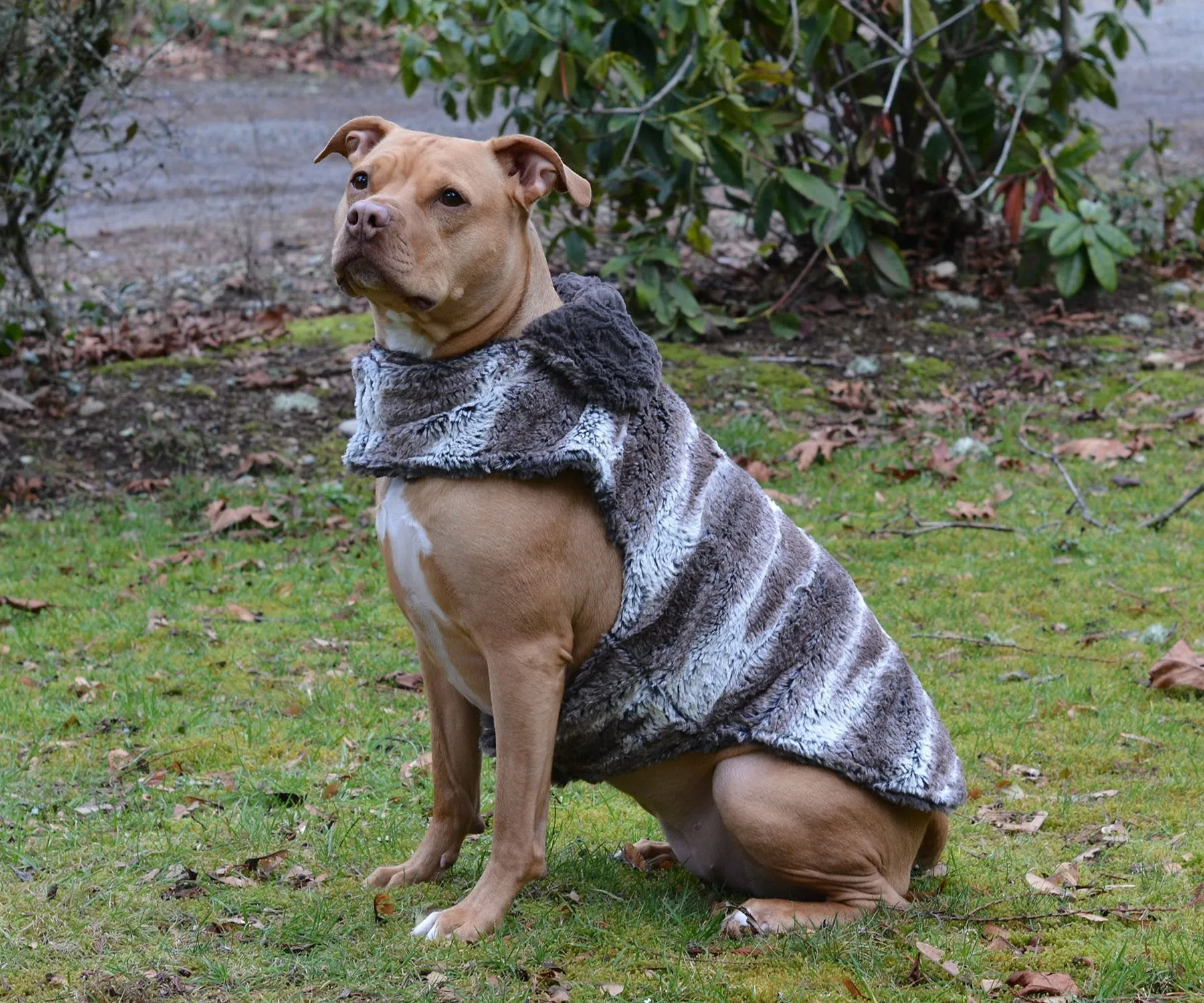 Dog Coat, Reversible - Luxury Faux Fur in Birch with Cuddly Fur